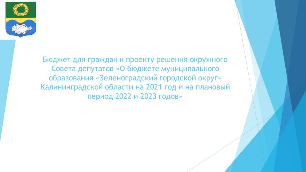 1 бюджет для граждан к проекту решения о бюджете на 2021-2023 г.г..jpg